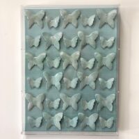 Aqua Butterflies, Carlie Porter