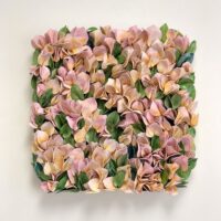 Bougainvillea, Carlie Porter